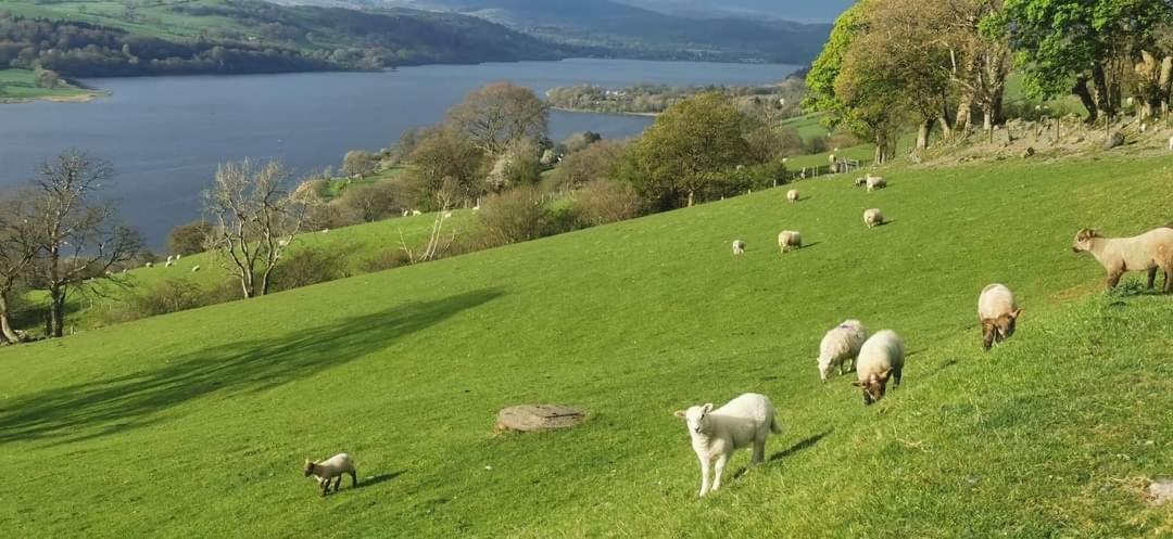 Lake View Farmhouse Escape Bala Buitenkant foto