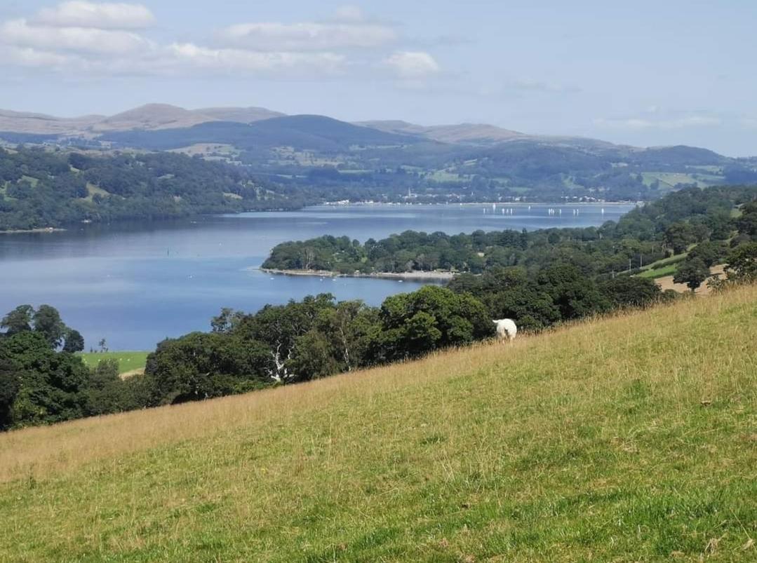Lake View Farmhouse Escape Bala Buitenkant foto